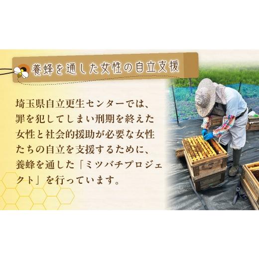 ふるさと納税 加工品等 はちみつ 埼玉県 久喜市 はちみつ 幸せの黄金ハチミツ 200g×3個 箱入り | はちみつ ハチミツ 蜂蜜 百花蜜 百花 純粋はちみつ 純粋 200…の画像