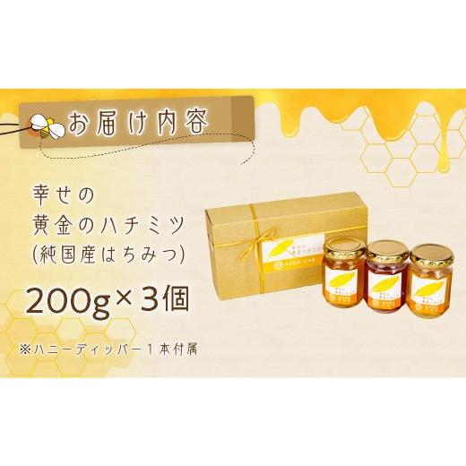 ふるさと納税 加工品等 はちみつ 埼玉県 久喜市 はちみつ 幸せの黄金ハチミツ 200g×3個 箱入り | はちみつ ハチミツ 蜂蜜 百花蜜 百花 純粋はちみつ 純粋 200…の画像