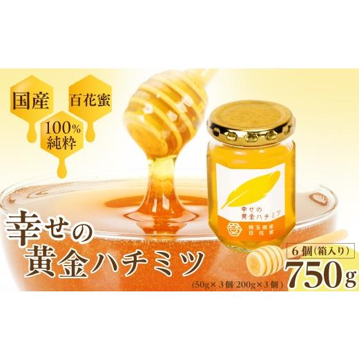ふるさと納税 加工品等 はちみつ 埼玉県 久喜市 はちみつ 幸せの黄金ハチミツ 50g×3個 200g×3個 箱入り | はちみつ ハチミツ 蜂蜜 百花蜜 百花 純粋はちみつ…