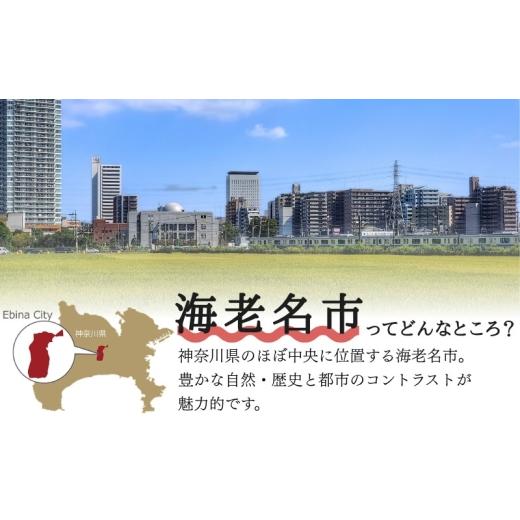 ふるさと納税 麦酒 地ビール 神奈川県 海老名市  定期便12ヵ月 手工芸品麦酒6類概念6本仕かける 酒 6類概念の麦酒 手工芸品麦酒 エビナラガー ピルスナー ダ…