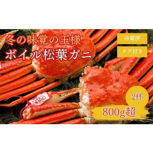 ふるさと納税 カニ 松葉ガニ 鳥取県 倉吉市 11月〜1月発送 特撰 松葉がに タグ付き 800g超の大きいサイズ 特大2杯 ボイル N59_Y 松葉ガニ カニ ズワイガニ カ…