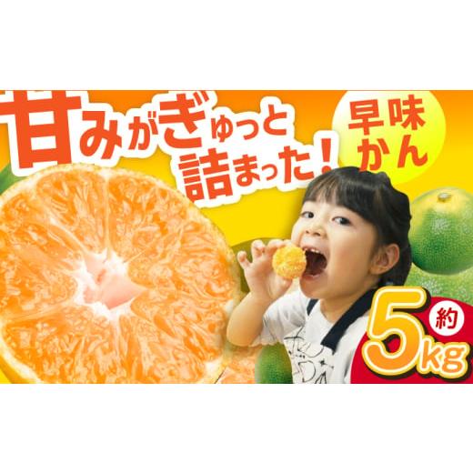 ふるさと納税 果物類 みかん 福岡県 広川町 先行予約 2026年9月下旬より発送 早味かん 約5kg みかん 果物 くだもの みかん ふるーつ フルーツ みかん ミカン …