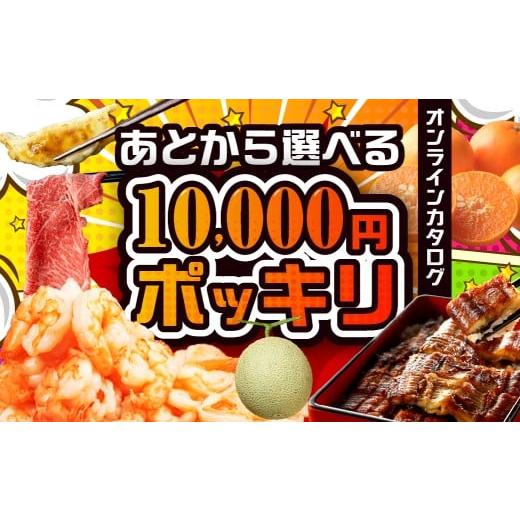 ふるさと納税 カタログ 愛知県 豊橋市 あとからゆっくり返礼品を選べる 10000円 ポッキリ ふるさと納税 カタログ 定期便 あとから選べる あとからセレクト 米 …