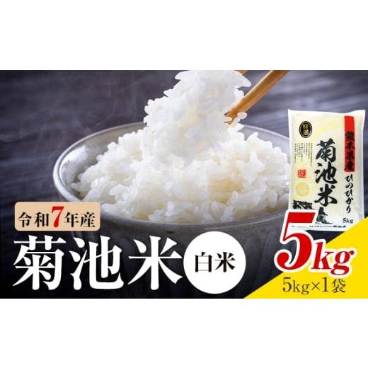 ふるさと納税 米 ヒノヒカリ 熊本県 菊池市 令和7年産 熊本県産 菊池米 白米 5kg 1袋5kg 株式会社くまもとごはん [30日以内に出荷予定(土日祝除く)]米 お米 …