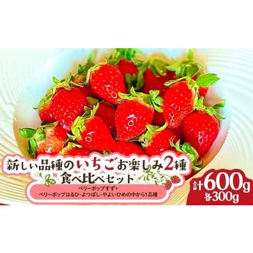 ふるさと納税 いちご 福島県 伊達市 新しい品種のいちご お楽しみ 2種 食べ比べセット300g×2パック 果物 フルーツ いちご イチゴ F21C-420