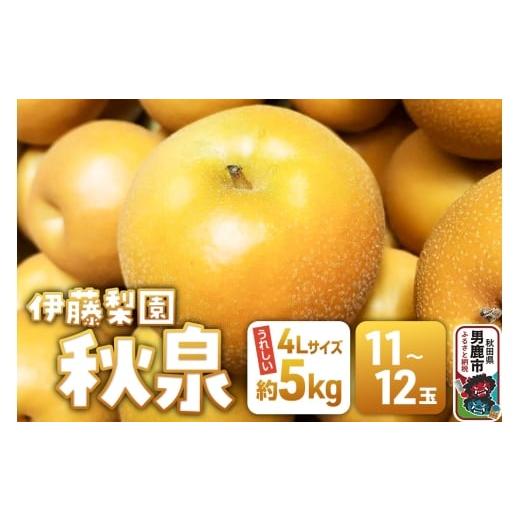 ふるさと納税 梨 秋田県 男鹿市 先行受付 男鹿梨 秋泉 梨 約5kg「伊藤梨園」 4L 11玉〜12玉 秋田県 男鹿市