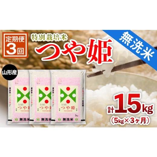 ふるさと納税 米 つや姫 山形県 山形市 定期便3回 山形産 特別栽培米 無洗米 つや姫 5kg×3ヶ月(計15kg) FY25-445