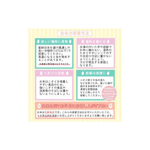 ふるさと納税 米 つや姫 山形県 山形市  定期便3回 山形産 特別栽培米 無洗米 つや姫 5kg×3ヶ月(計15kg) FZ26-894の画像