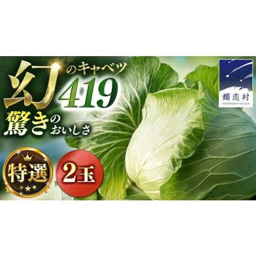 ふるさと納税 野菜類 群馬県 嬬恋村 7月中旬発送開始 特選 まぼろしの419キャベツ 2玉 きゃべつ 嬬恋村産キャベツ 羽生田売店 幻のキャベツ419 産地直送 期間…
