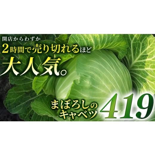 ふるさと納税 野菜類 群馬県 嬬恋村 7月中旬発送開始 特選 まぼろしの