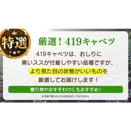 ふるさと納税 野菜類 群馬県 嬬恋村 7月中旬発送開始 特選 まぼろしの