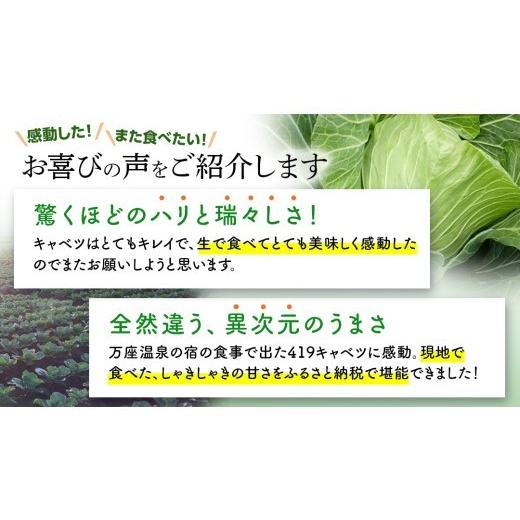 ふるさと納税 野菜類 群馬県 嬬恋村 7月中旬発送開始 特選 まぼろしの