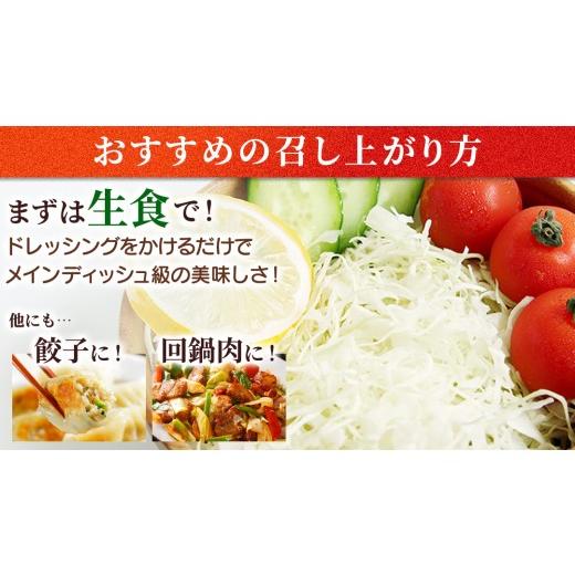 ふるさと納税 野菜類 群馬県 嬬恋村 7月中旬発送開始 特選 まぼろしの