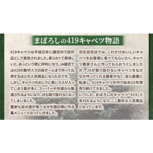 ふるさと納税 野菜類 群馬県 嬬恋村 7月中旬発送開始 特選 まぼろしの