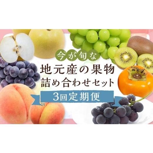 ふるさと納税 果物の詰合せ 福岡県 筑後市 3回定期便 今が旬な地元産の果物詰め合わせセット 2026年6月上旬から順次発送予定 桃 ぶどう 梨 みかん 柿 キウイ …