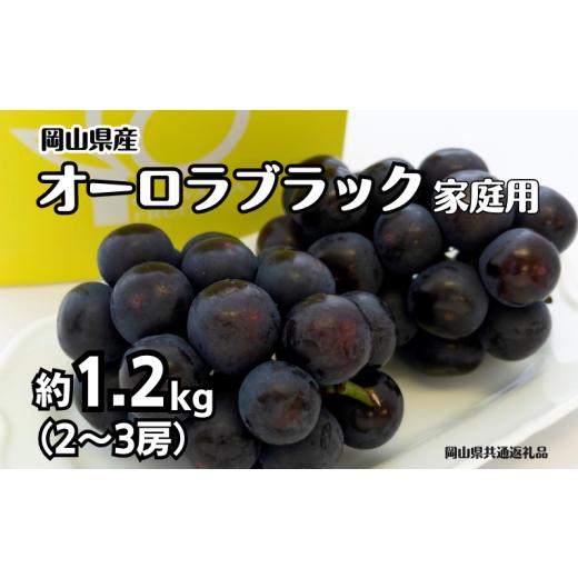 ふるさと納税 果物類 ぶどう 岡山県 新見市 ご家庭用 オーロラブラック 2〜3房 合計約1.2kg 先行予約 2026年8月下旬から順次発送