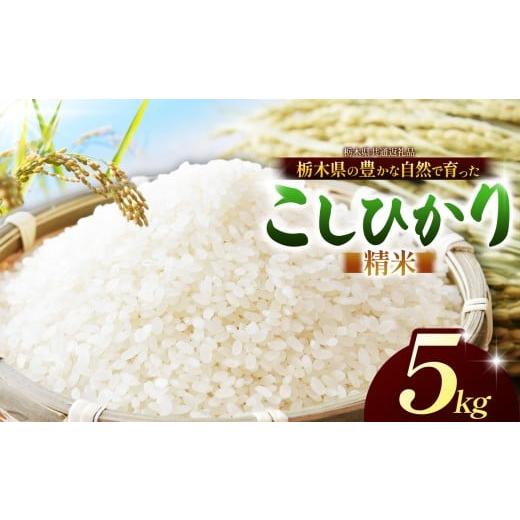 ふるさと納税 米 コシヒカリ 栃木県 那珂川町 チョイス限定 こしひかり(白米)約 5kg 栃木県共通返礼品|コシヒカリ 米 白米 おいしい お米 こめ おこめ 白…