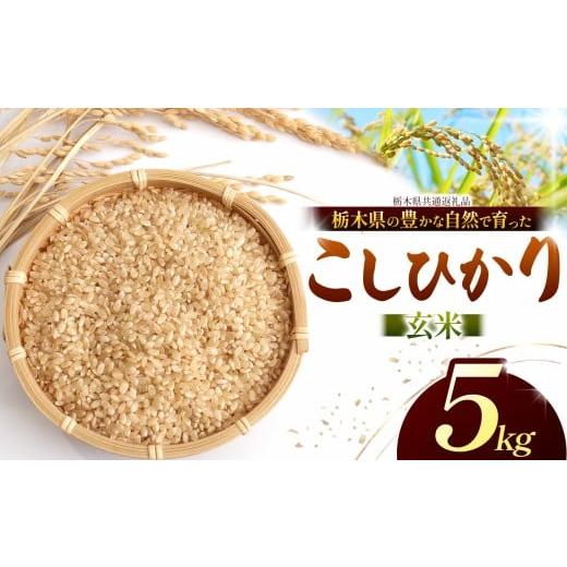 ふるさと納税 米 コシヒカリ 栃木県 那珂川町 チョイス限定 こしひかり(玄米)約 5kg 栃木県共通返礼品|コシヒカリ 米 玄米 おいしい お米 こめ おこめ 国…