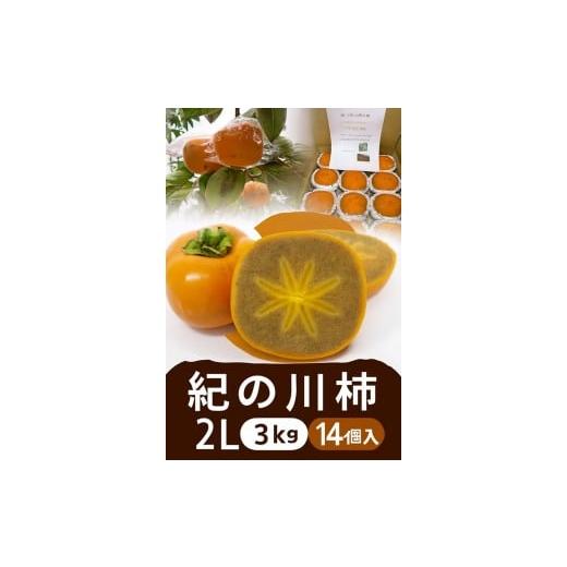 ふるさと納税 果物類 柿 和歌山県 九度山町 2026年発送 黒の奇跡 九度山の紀の川柿 2Lサイズ14個入 約3kg