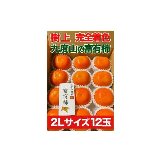 ふるさと納税 果物類 柿 和歌山県 九度山町 2026年発送 こだわりの樹上完全着色「九度山の富有柿」2Lサイズ12玉