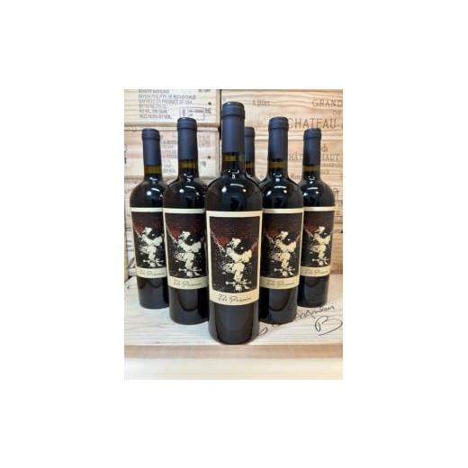 ふるさと納税 ワイン 赤ワイン 北海道 新冠町 No.97 新冠 トンネル 熟成 ワイン アメリカ カリフォルニア 産 赤 ワイン 2022 6本 1組 セット