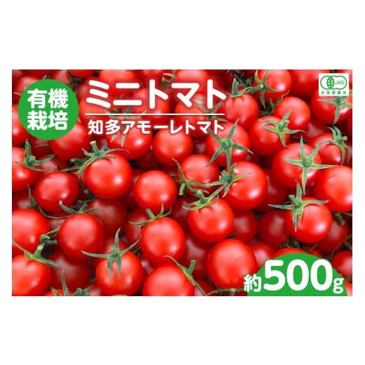 ふるさと納税 トマト ミニトマト 愛知県 知多市 有機栽培ミニトマト 知多アモーレトマト 約500g/ とまと 野菜 高糖度 愛知県 特産品 約500g 8,000円