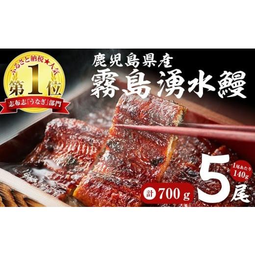 ふるさと納税 うなぎ 鹿児島県 志布志市 3月末までに配送 数量限定 お礼の品人気No1 霧島湧水鰻の蒲焼き 140g以上×5尾 計700g以上 うなぎ 鰻 ウナギ 5尾 国…