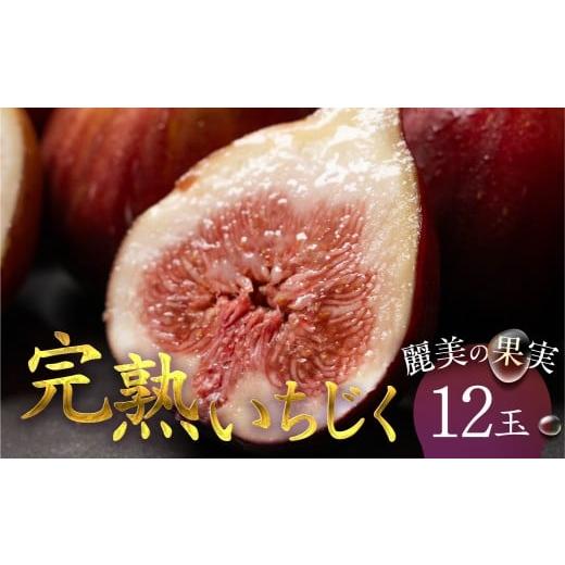 ふるさと納税 いちじく 愛知県 豊橋市 完熟いちじく 12玉 国産 いちじく イチジク 無花果 フルーツ くだもの 果物 旬 旬のフルーツ 甘い 新鮮 採れたて 桝井ド…