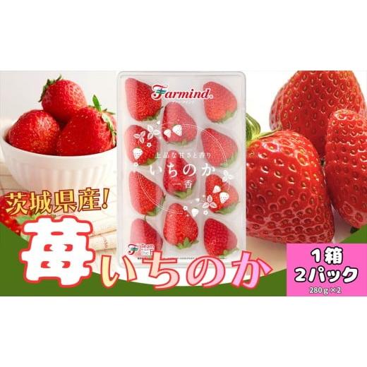 ふるさと納税 いちご 茨城県 稲敷市 茨城県産いちご いちのか 大粒から中粒いちごパック 2パック入り箱|ファーマ村 ファーマインド いちご いちのか かおりの…