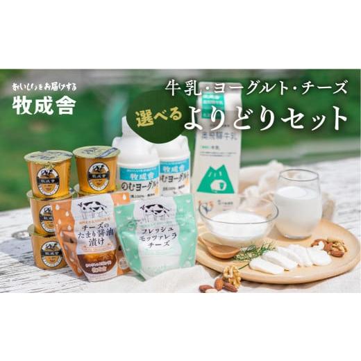 ふるさと納税 飲料類 牛乳 岐阜県 飛騨市 3回定期便 スタンダードセット チーズの溜り醤油漬け よりどり乳製品セット 詰め合わせ 福袋 牛乳・ヨーグルト・チ…