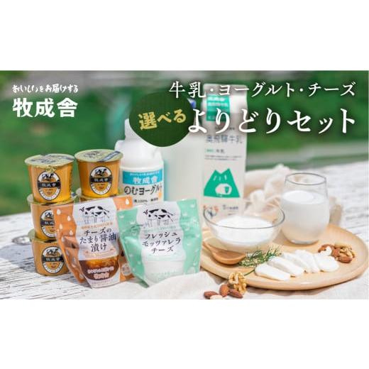 ふるさと納税 飲料類 牛乳 岐阜県 飛騨市 3回定期便 牛乳&飲むヨーグルトセット よりどり乳製品セット 詰め合わせ 福袋 牛乳・ヨーグルト・チーズ 飛騨産生…