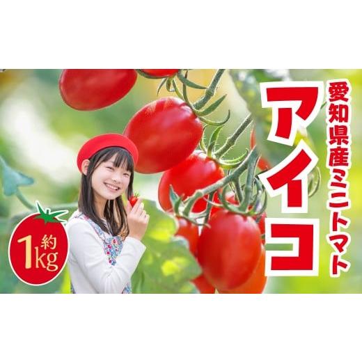 ふるさと納税 トマト ミニトマト 愛知県 豊橋市 先行予約 ミニトマト アイコ 約1kg トマト フルーツトマト ミニトマト プチトマト 野菜 フルーツ 果物 旬 旬…
