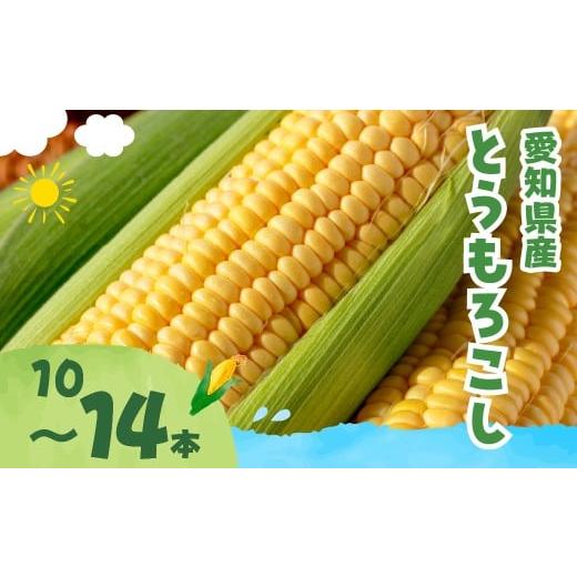ふるさと納税 とうもろこし 愛知県 豊橋市 先行予約 とうもろこし 訳あり 10本 ~ 14本 甘い 高糖度 トウモロコシ もろこし サラダ 野菜 旬 わけあり ワケアリ…