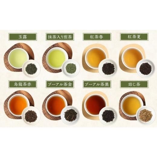 ふるさと納税 お茶類 鹿児島県 薩摩川内市 崎原製茶のSTオリジナルセット（12種）お茶 茶 飲料 川内ほまれ紫 さきはら茶 玄米茶 玉露 煎茶 紅茶 烏龍茶 プーア…の画像