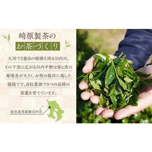 ふるさと納税 お茶類 鹿児島県 薩摩川内市 崎原製茶のSTオリジナルセット（12種）お茶 茶 飲料 川内ほまれ紫 さきはら茶 玄米茶 玉露 煎茶 紅茶 烏龍茶 プーア…の画像