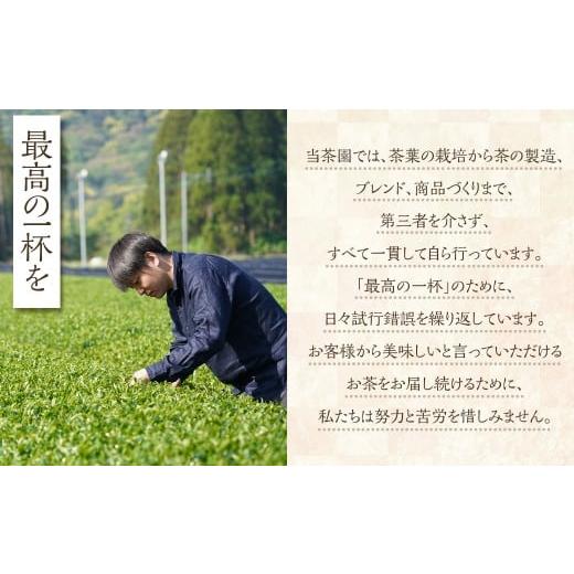 ふるさと納税 お茶類 鹿児島県 薩摩川内市 崎原製茶のSTオリジナルセット（12種）お茶 茶 飲料 川内ほまれ紫 さきはら茶 玄米茶 玉露 煎茶 紅茶 烏龍茶 プーア…の画像
