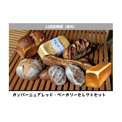 ふるさと納税 パン 食パン 新潟県 阿賀野市 12回定期便 しょこら亭 カンパーニュブレッド・ベーカリーセレクト 毎月お届け パン 詰め合わせ 冷凍 1Z49241