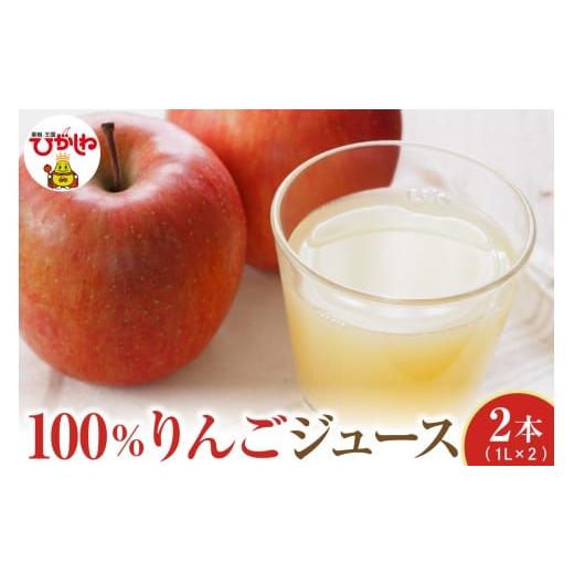 ふるさと納税 果汁飲料 りんご 山形県 東根市 100%りんごジュース 1L 2本セット 山形県 東根市 hi088-005