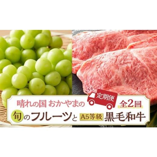 ふるさと納税 ぶどう マスカット 岡山県 岡山市 2回 定期便 フルーツ 肉 2026年 晴れの国 おかやま の 旬のフルーツと A5等級 黒毛 和牛 2回 定期便 ぶどう …