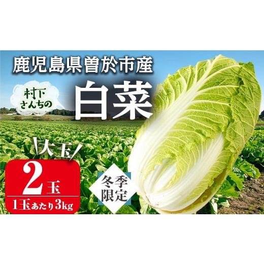 ふるさと納税 野菜類 鹿児島県 曽於市 期間限定 村下さんちの白菜(約3kg×2個) 白菜 はくさい 野菜 曽於市観光協会