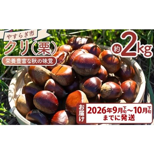 ふるさと納税 果物類 栗 高知県 香南市 2026年9月下旬〜10月下旬までに発送 栄養豊富な秋の味覚 クリ(栗) 2袋(2kg) - 国産 果物 青果 フルーツ マロン 生…