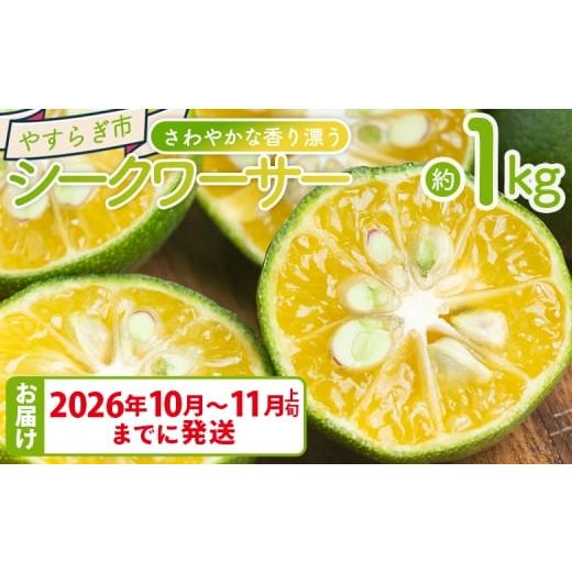 ふるさと納税 みかん・柑橘類 高知県 香南市 2026年10月〜11月上旬までに発送 さわやかな香り漂うシークワーサー 1kg - 国産 シークヮーサー 果物 フルーツ …
