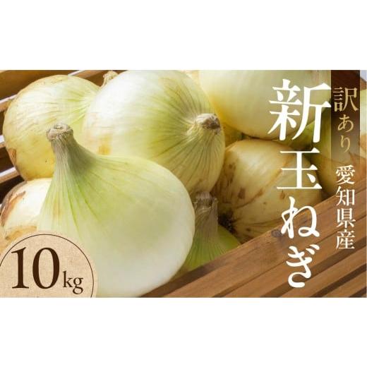 ふるさと納税 野菜類 玉ねぎ 愛知県 豊橋市 新玉ねぎ 大玉 訳あり 10kg(小傷・変形)10キロ 新玉 玉ねぎ タマネギ 玉葱 野菜 旬 旬の野菜 甘い サラダ 健康 …