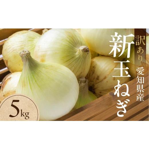 ふるさと納税 野菜類 玉ねぎ 愛知県 豊橋市 新玉ねぎ 大玉 訳あり 5kg（小傷・変形）5キロ 新玉 玉ねぎ タマネギ 玉葱 野菜 旬 旬の野菜 甘い サラダ 健康 農…の画像
