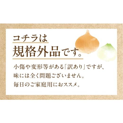 ふるさと納税 野菜類 玉ねぎ 愛知県 豊橋市 新玉ねぎ 大玉 訳あり 5kg（小傷・変形）5キロ 新玉 玉ねぎ タマネギ 玉葱 野菜 旬 旬の野菜 甘い サラダ 健康 農…の画像