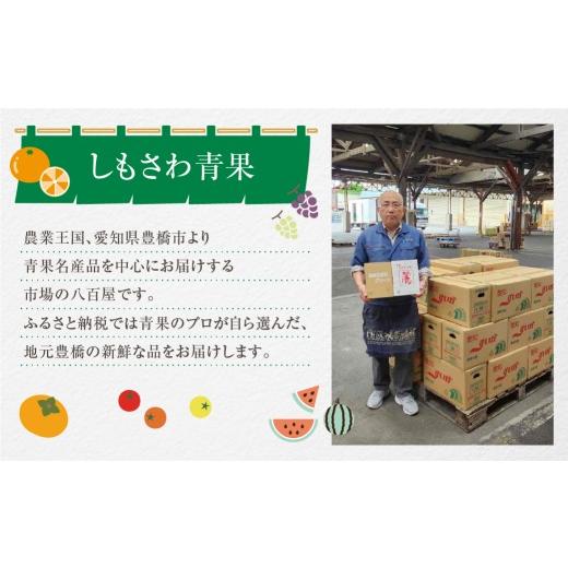 ふるさと納税 野菜類 玉ねぎ 愛知県 豊橋市 新玉ねぎ 大玉 訳あり 5kg（小傷・変形）5キロ 新玉 玉ねぎ タマネギ 玉葱 野菜 旬 旬の野菜 甘い サラダ 健康 農…の画像