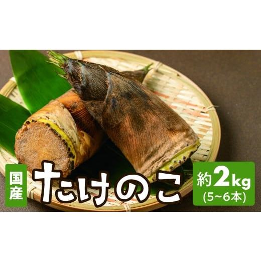 ふるさと納税 野菜類 山菜 愛知県 豊橋市 たけのこ 2kg (5~6本) 筍 タケノコ 竹の子 2キロ 5本 6本 生 旬 旬の野菜 炊き込みご飯 あく抜き 新鮮 採れたて 国産…