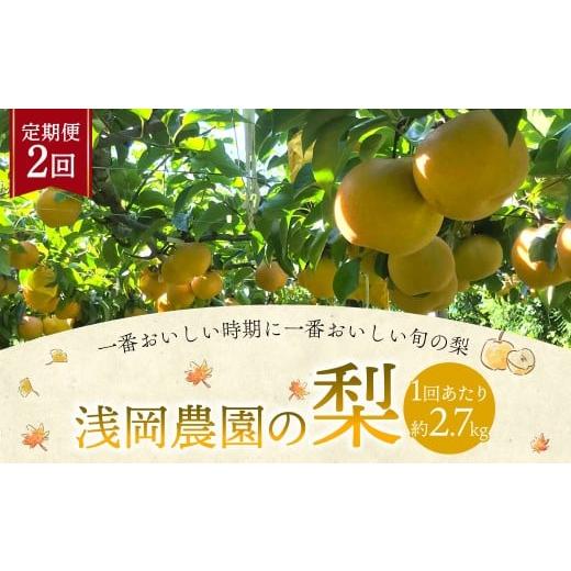 ふるさと納税 梨 大分県 九重町 浅岡農園の梨 約2.7kg 梨 なし ナシ くだもの 果物 フルーツ 果実 和梨 豊水 秋月 新高 甘太 大分県 九重町 2回定期便 2026年9…