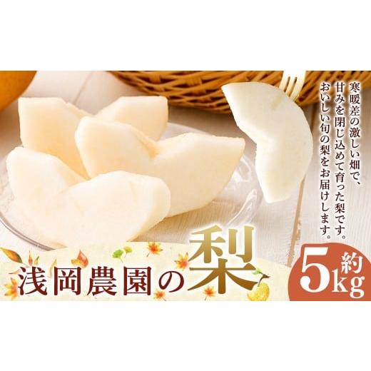 ふるさと納税 梨 大分県 九重町 浅岡農園の梨 約5kg 梨 なし ナシ くだもの 果物 フルーツ 果実 和梨 王秋 にっこり 愛宕 大分県 九重町 2026年11月下旬発送予…