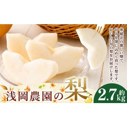 ふるさと納税 梨 大分県 九重町 浅岡農園の梨 約2.7kg 梨 なし ナシ くだもの 果物 フルーツ 果実 和梨 王秋 にっこり 愛宕 大分県 九重町 2026年11月下旬発送…